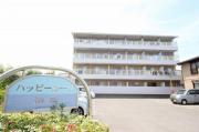 ハッピールーツ沖浜