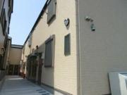 Platanus Court