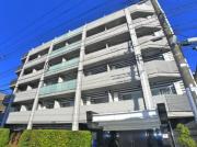 ARTECASA Alivie 綾瀬