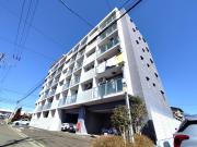 シエナ仙台III
