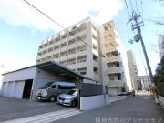 ステラ・ランド