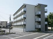 白坪