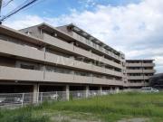 バードタウン7番館