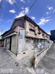 水野文化