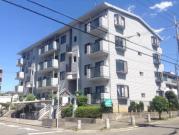 南海泉北線泉ケ丘駅まで徒歩13分