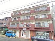 第1ハイムパピヨン