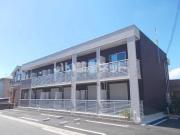 カモミール万葉