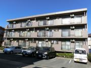 ハイムスズキ