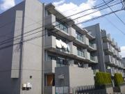エースCity
