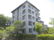 中登美団地B5号棟