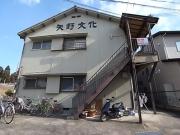 矢野文化