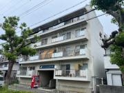 パインリーフ甲子園
