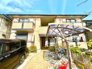 ゼヒランサス B