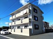 ミモザ
