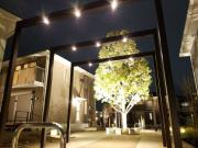 まほろば日進 SouthCourt C