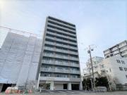 コートロティS15