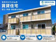 リール・ヴィザージュ