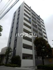YSD