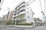 PRATIQUE SHINMARUKO