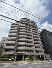 ライオンズガーデンヒルズ白山