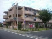 アトレ庄和