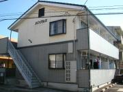 シングルス