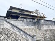 春と青空のterrace