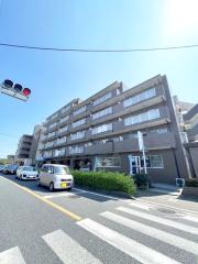 ブルーミングハイツII