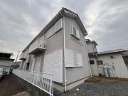 ハイツルナシー
