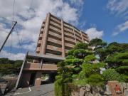 アヌビアス紫川