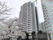 文京グリーンコートビュータワー本駒込B棟