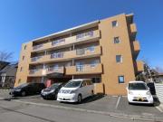 フェニックス36