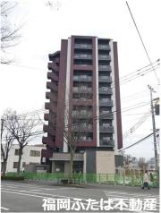 コージースタイル
