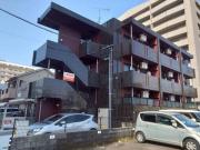 The Rock APT