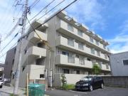 東武野田線柏駅まで徒歩15分