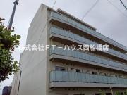 Alivis原木中山