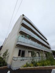 Alivis原木中山