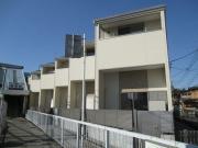 アイランド菅野