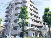 エルザ多摩川