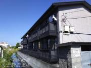 ダンディライオン西市