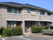 アイランド菅野B