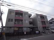 ソフィア21新在家