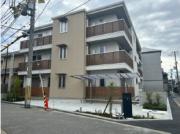 D room墨江