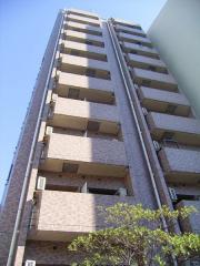 日神パレステージ護国寺