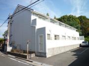 Dasiy court Makino