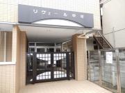 西武池袋・豊島線中村橋駅まで徒歩5分