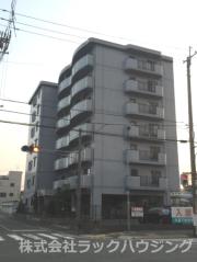 ドリーム菊水
