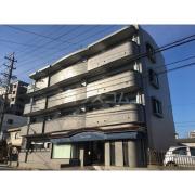 DOLL HOUSE 又穂