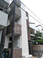 カーサルピナスティーアール