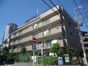 M・S COUAT